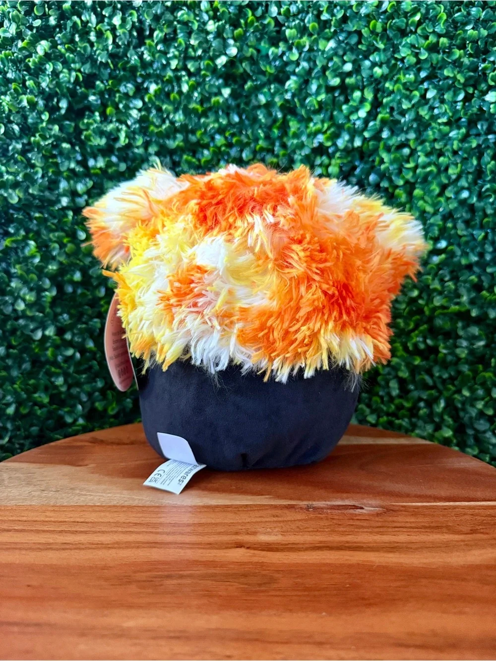 Squishmallows brand new